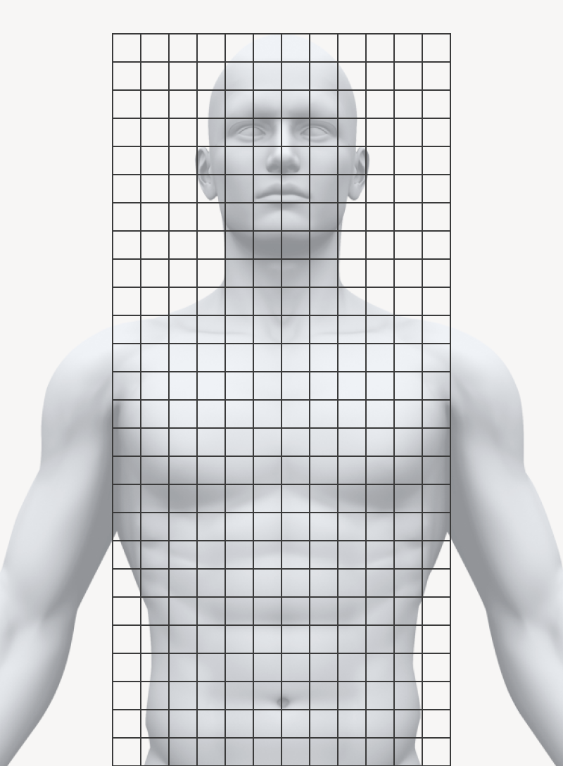 Body coordinate grid